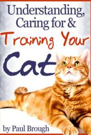 Understanding, Caring for and Training Your Cat