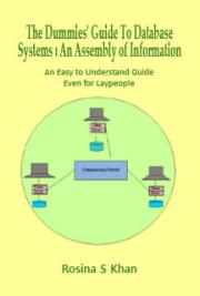 The Dummies' Guide to Database Systems: An Assembly of Information