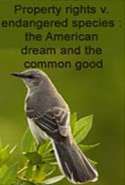 Property Rights v. Endangered Species : The American Dream and the Common Good