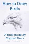 How to Draw Birds: A Brief Guide