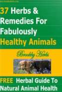 37 Herbs &  Remedies for Fabulously Healthy Animals