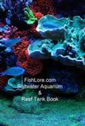 Saltwater Aquarium and Reef Tank Book