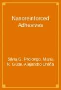 Nanoreinforced Adhesives