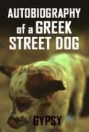 Autobiography of a Greek Street Dog
