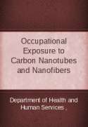 Current Intelligence Bulletin 65: Occupational Exposure to Carbon Nanotubes and Nanofibers