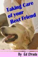 Take Care of your Best Friend