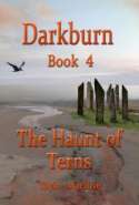 Darkburn Book 4: The Haunt of Ternss