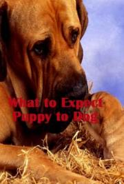 What to Expect - Puppy to Dog