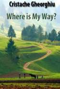 Where is my Way?