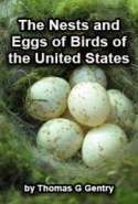 The Nests and Eggs of Birds of the United States