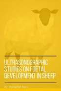 Ultrasonographic Studies on Foetal Development in Sheep