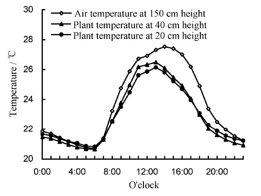 index-174_1.jpg