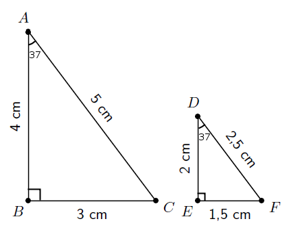 Discussion : Similar Triangles