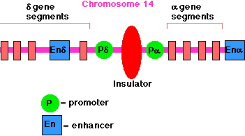 Figure (graphics4.png)