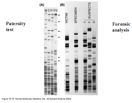 Figure (graphics9.png)