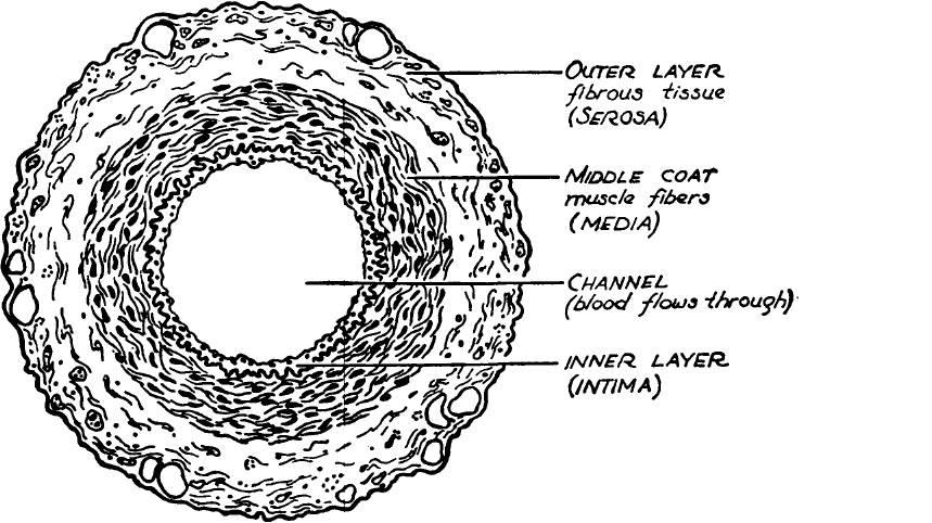 index-40_1.jpg